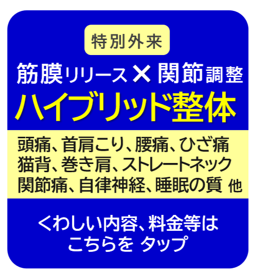 筋膜リリース、アナトミー・トレインのページへ進む