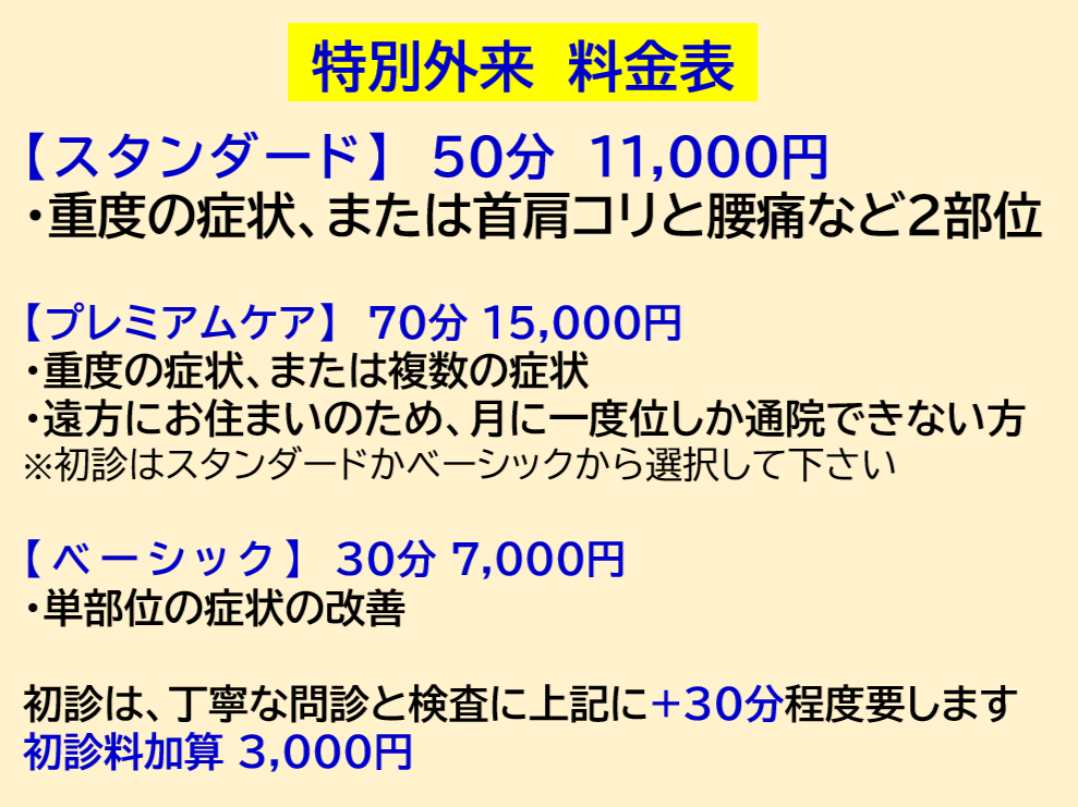 接骨院 整骨院 整体 料金表